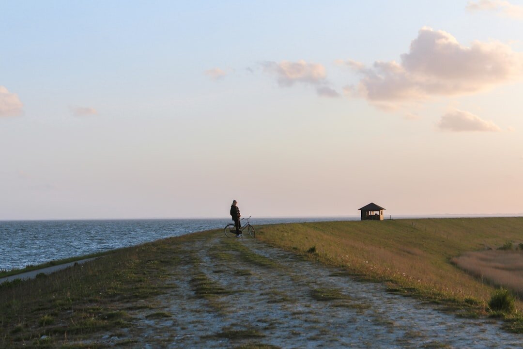 Danish farmer standing in a field with cattle at sunrise